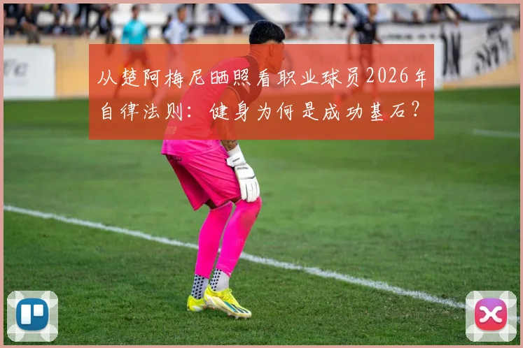 从楚阿梅尼晒照看职业球员2026年自律法则:健身为何是成功基石?